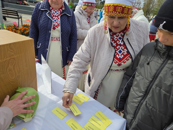 Центральная библиотека организовала игровую площадку на осенней ярмарке